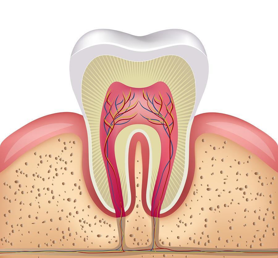 root canal treatment